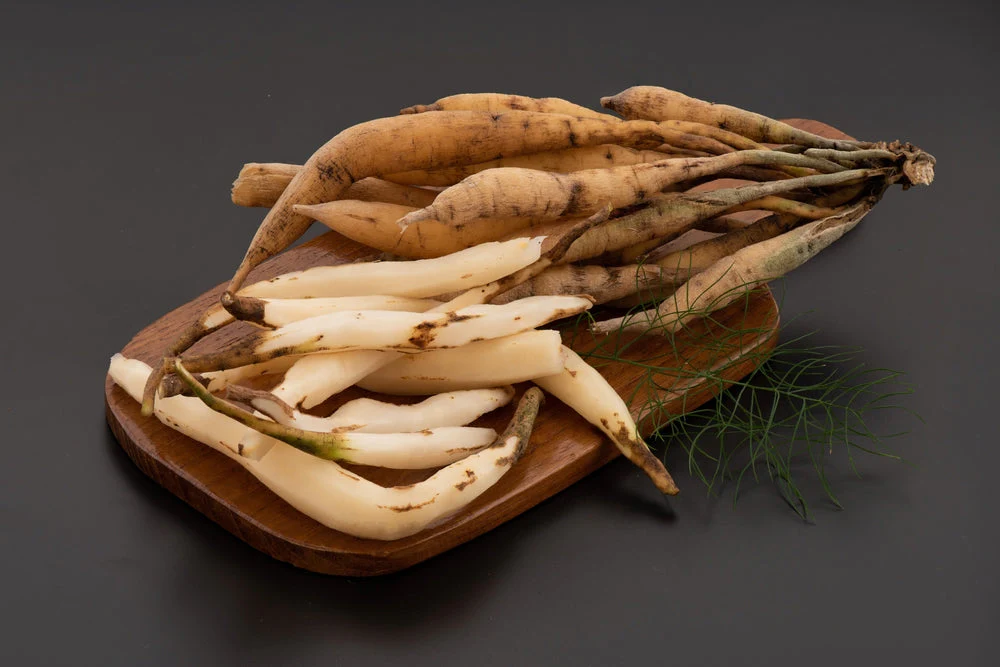 Shatapushpa–Shatavari in polycystic ovary syndrome: an Ayurvedic reproductive modulatory approach